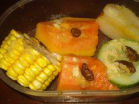 /album/galeria-de-fotos-fotos/ozzy-006-jpg/